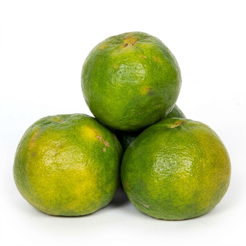Nagpur oranges-1kg
