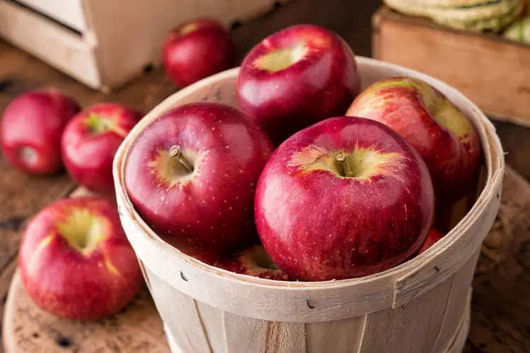 Fresh Apples