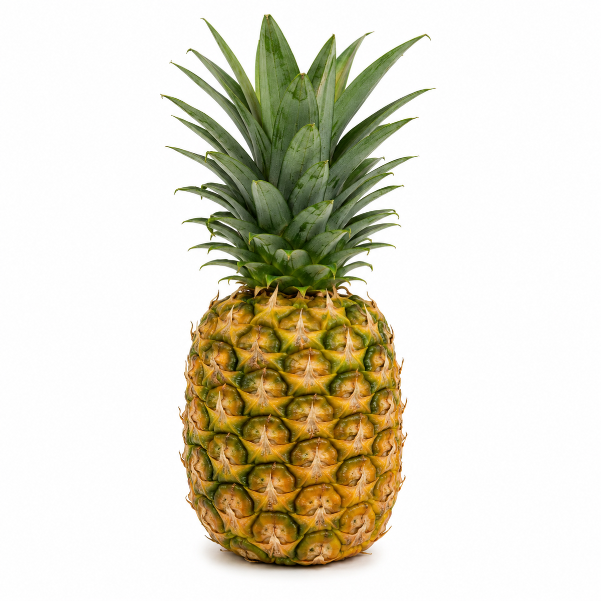 Fresh Pineapple - 1pc